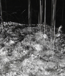 List: pixelio 596948