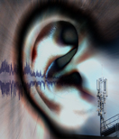 List: pixelio 673467