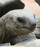 � Wolfgang Dirscherl  / pixelio.de